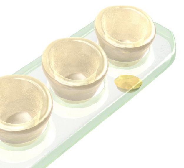 Organic Spice Holder Bowls with Spice Tray Designed by Anna Vasily. - detail view