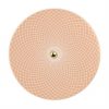 Rose Gold Platter with Polished Brass Handle Designed by Anna Vasily. - top view
