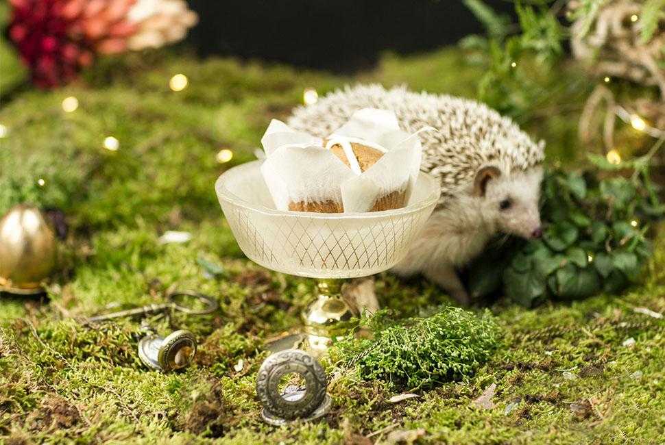 Easter egg basket bowl on pedestal Mardy is a sweet, cream coloured ice cream bowl adorned with our lattice Venetian Filigree pattern on a stem. Next to Mardy there is a lovely forest decorative hedgehog