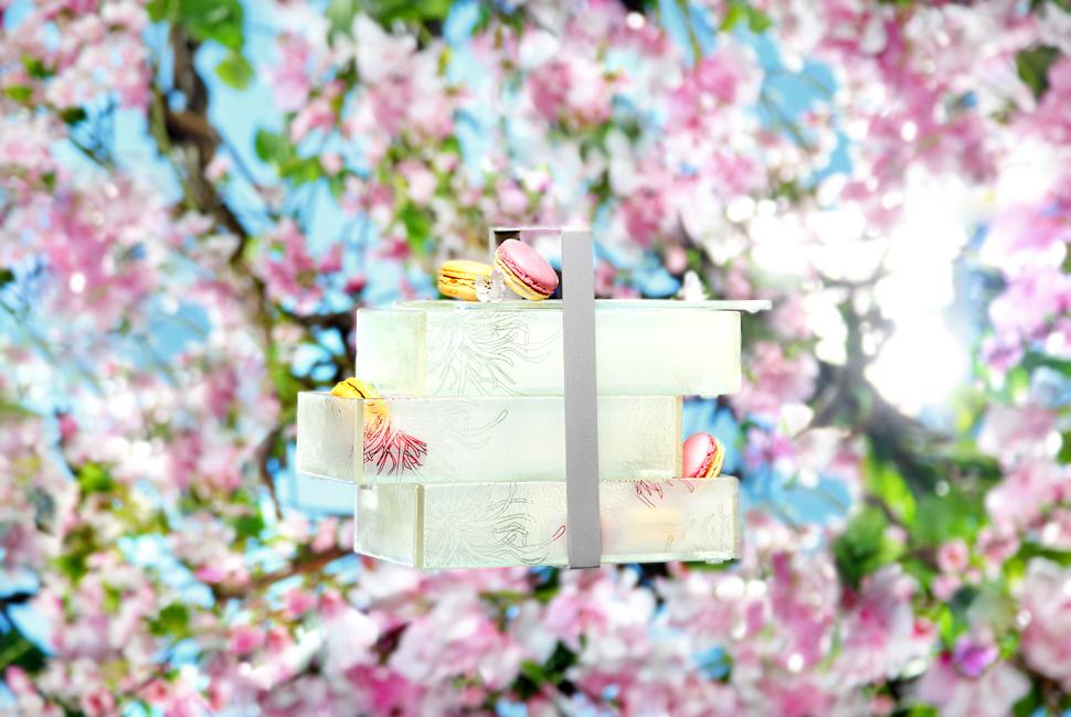 Beautiful 3 compartment glass bento box with floral pattern in yellow creme colour with cherry blossom branches on the background