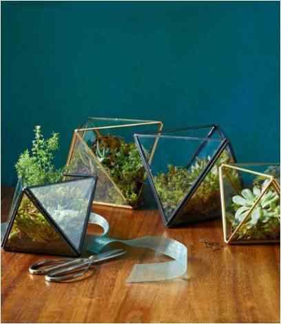 mother's day gifts Terrarium 