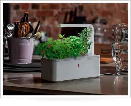 mother's day gifts Herb Planter