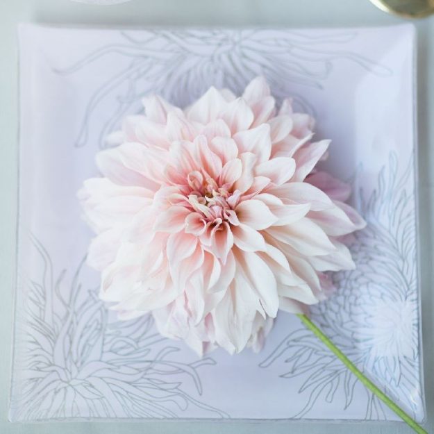 Square Pink Dessert Plates, Kyra Set/4 Square Dessert Plates With Floral Pattern with Chrysanthemum
